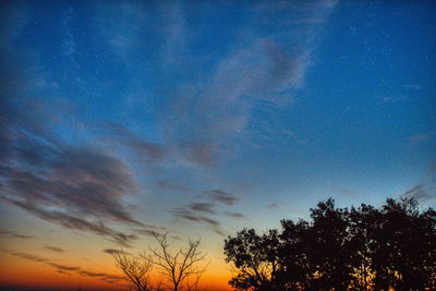 Low angle view of silhouette trees against sky at sunset