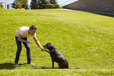 A man shaking hands with his dog.