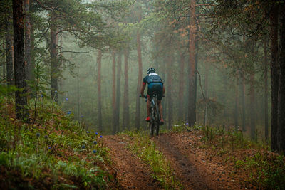 Rear view of man riding bicycle in forest