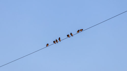 sky