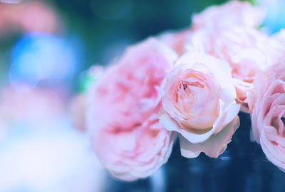 Close-up of rose bouquet