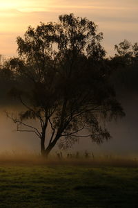 Silhouette tree on field against sky during sunset