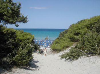 Scenic view of beach