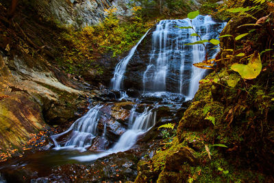 Scenic view of waterfall in forest