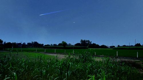 Scenic view of grassy field against sky