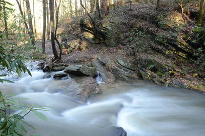 Stream flowing through rocks in forest