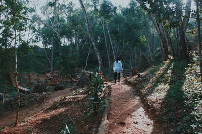 Man standing in forest