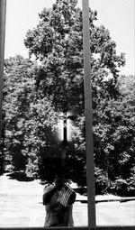 Rear view of man standing by tree against sky