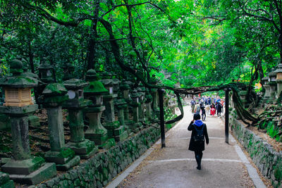 Rear view of woman walking on footpath amidst trees