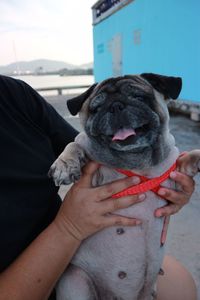 Midsection of person holding dog