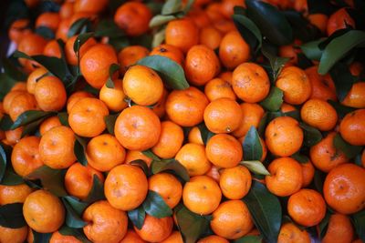 Full frame shot of orange fruits at market for sale