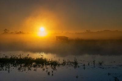 A bird blind hidden in the foggy mist over a marsh as the sun rises in the background.