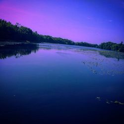 Reflection of trees in calm lake