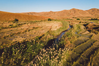 landscape
