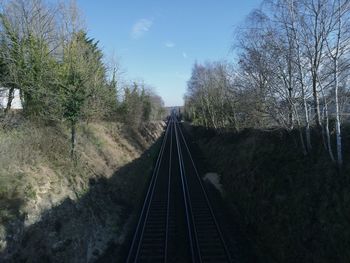 Railroad tracks amidst trees against sky