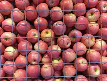 Close-up of red apples in rack