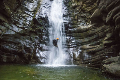 Scenic view of waterfall in forest