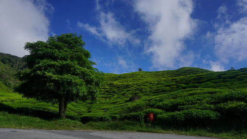 Scenic view of landscape against cloudy sky