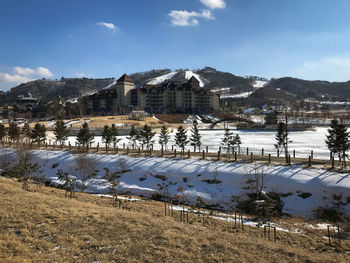 Scenic view of alpensia ski resort against blue sky, pyeongchang, south korea