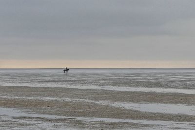 Distant view of person riding horse at beach against sky during sunset