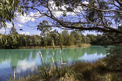 Scenic view of lake in forest against sky