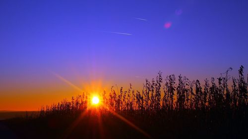 Scenic view of landscape against clear sky at sunset