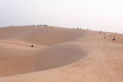 Scenic view of desert against clear sky