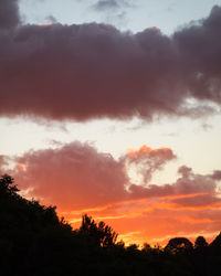 Low angle view of silhouette trees against sky during sunset
