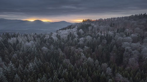 Burning horizon over the murg valley during sunset in the icy northern black forest
