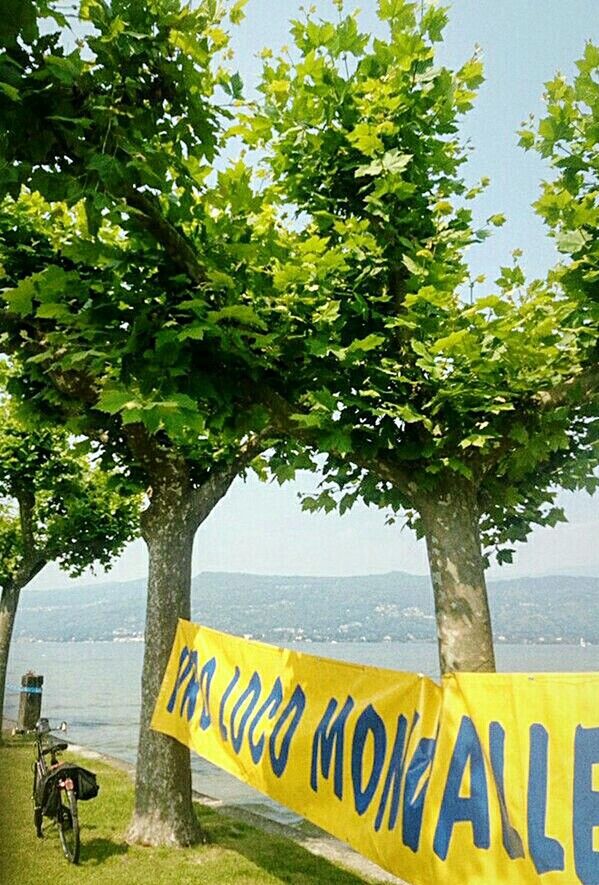 INFORMATION SIGN AGAINST TREES