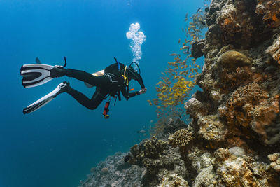 Scuba diver exploring the great barrier reef in australia