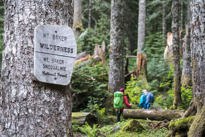 Two female hikers on a trail in the mt. baker wilderness