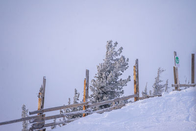 snow