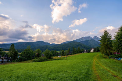 Scenic view of field against sky