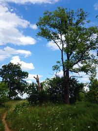 Scenic view of grassy field against cloudy sky