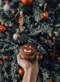 Midsection of person holding christmas tree