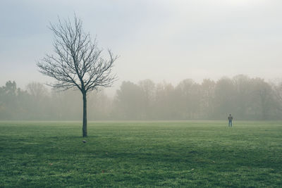 Misty field with a tree and a man against sky