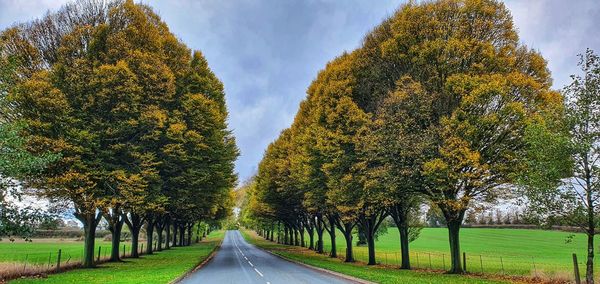 Road amidst trees against sky