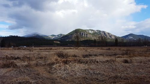 Scenic view of field against sky