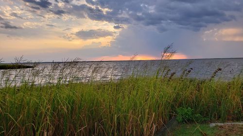 Scenic view of sea against sky during sunset