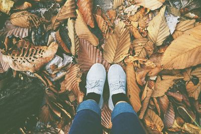 Low section of person standing on fallen leaves