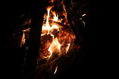 Bonfire at night