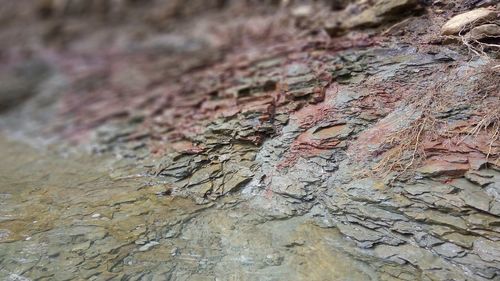 Close-up of rock