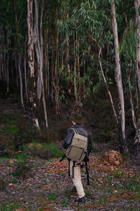 Rear view of man walking in forest