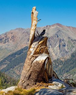 Dead tree against mountain range against clear blue sky