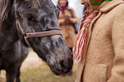 Pony sniffing unrecognizable little girl