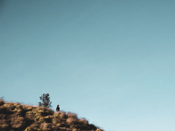 Low angle view of man standing against clear sky