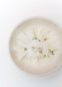 High angle view of white flowers in bowl