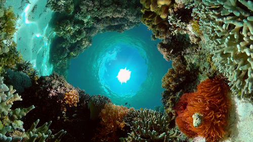 cave