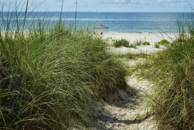 Scenic view of beach against sky